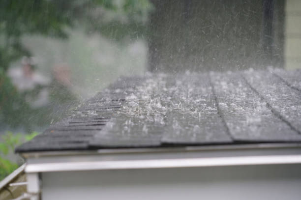 Best Roof Maintenance and Cleaning  in Canyon Day, AZ