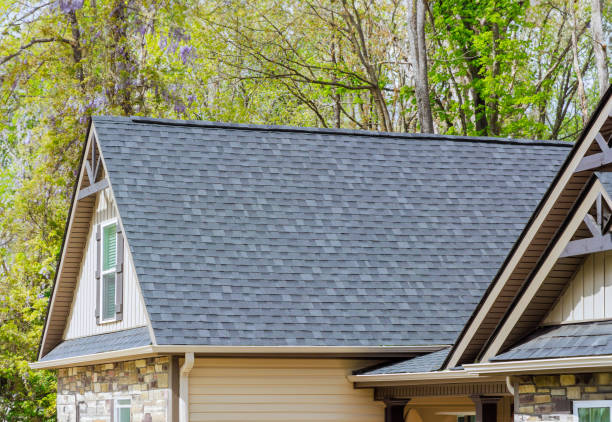 Best Chimney Flashing Repair  in Canyon Day, AZ